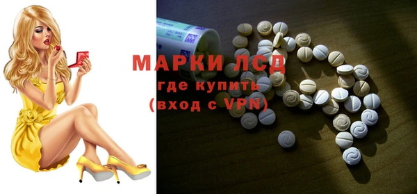 индика Вяземский