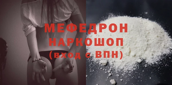 индика Вяземский