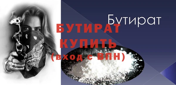 индика Вяземский