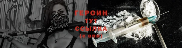крисы Козельск