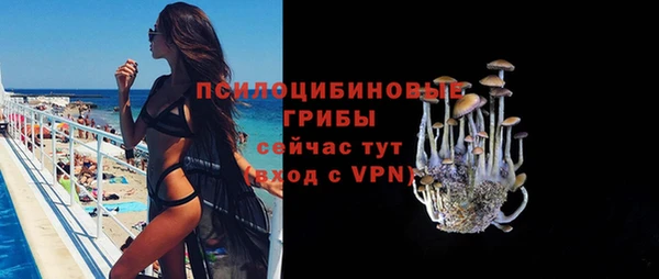 индика Вяземский