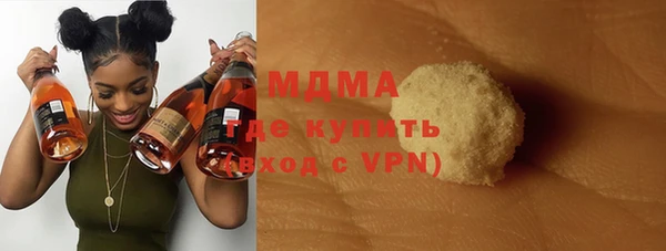индика Вяземский