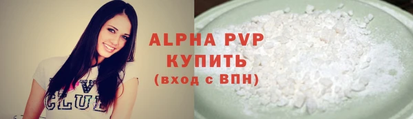 индика Вяземский