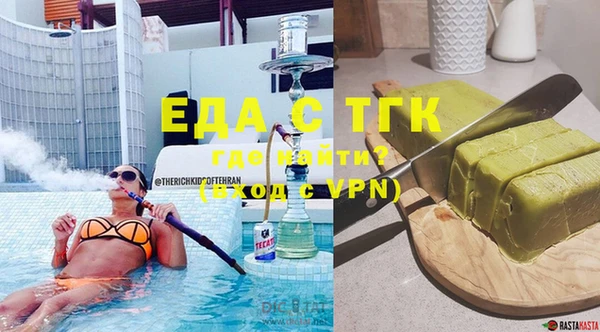 индика Вяземский