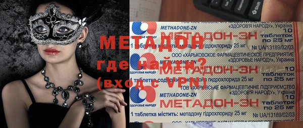 индика Вяземский