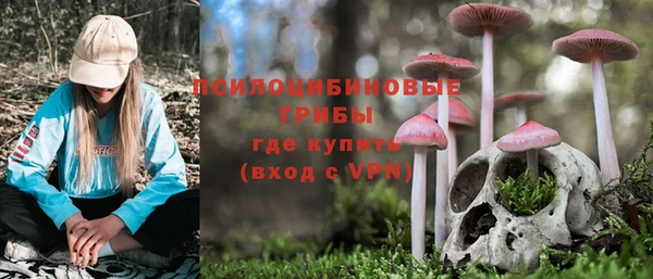 индика Вяземский