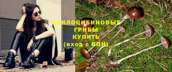 индика Вяземский