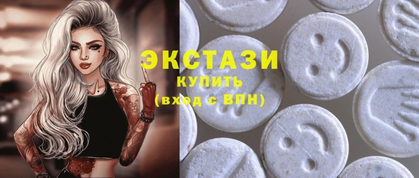 индика Вяземский