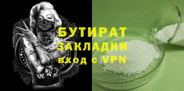 индика Вяземский