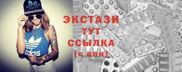 индика Вяземский