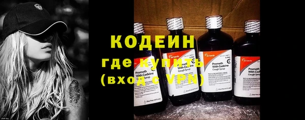 индика Вяземский
